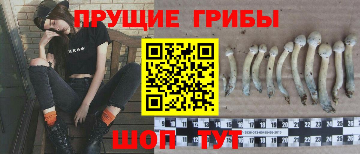 Псилоцибиновые грибы прущие грибы  Вход с VPN  Алексеевка 